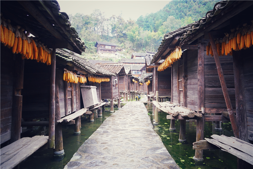 雷山苗族服饰便装图片_雷山苗族服饰特点_雷山苗族服饰