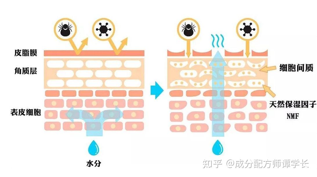 男生补水护肤_男性护肤补水_护肤男性补水用什么好