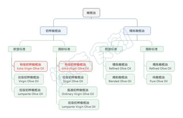 橄榄油瓶上的生产日期_进口橄榄油生产日期怎么看_橄榄油瓶身上没有生产日期可以进口吗