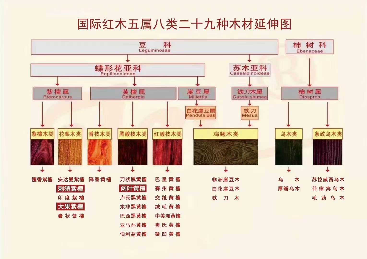 红木非洲木是酸枝木吗_红木家具非洲酸枝怎么样_非洲酸枝木是不是红木