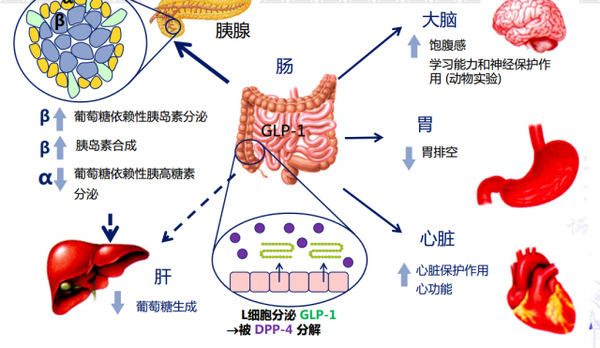 零食危害小孩吃了会怎样_零食对小孩的危害_小孩经常吃零食的危害