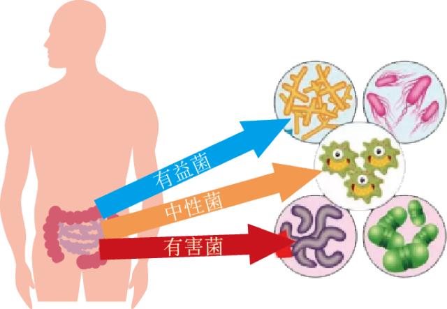 三孩低聚果糖图片价格_果糖小孩_儿童果糖片作用和功效