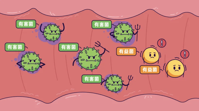 三孩低聚果糖图片价格_果糖小孩_儿童果糖片作用和功效