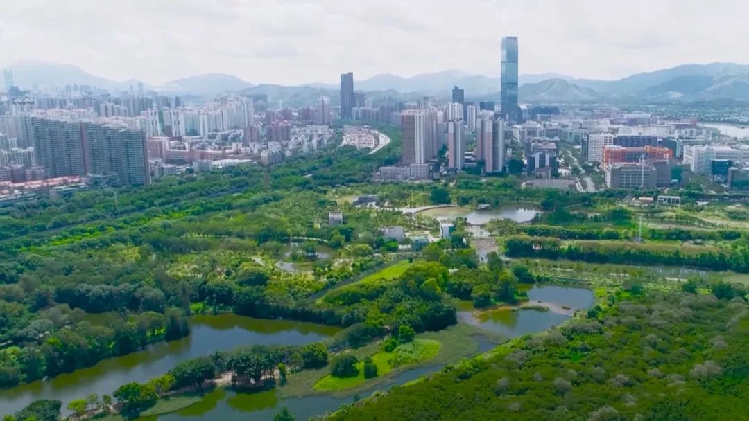 水务智慧书建议项目怎么写_智慧水务实施方案_智慧水务项目建议书