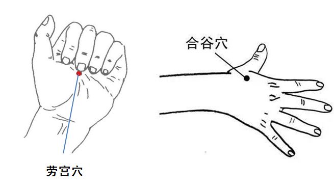 抗疲劳需要补充什么_请问抗疲劳可以吃什么药_抗疲劳吃什么好