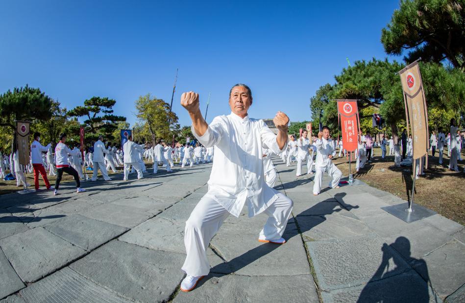 武当太极视频_武当太极功视频下载_世界武当太极大会丨太极功夫惊艳全场