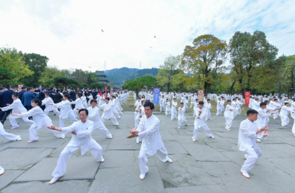 武当太极功视频下载_世界武当太极大会丨太极功夫惊艳全场_武当太极视频