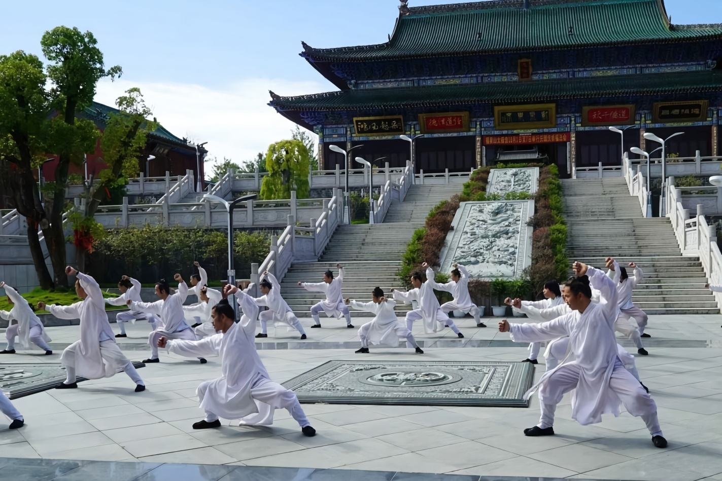 武当太极视频_世界武当太极大会丨太极功夫惊艳全场_武当太极功夫团