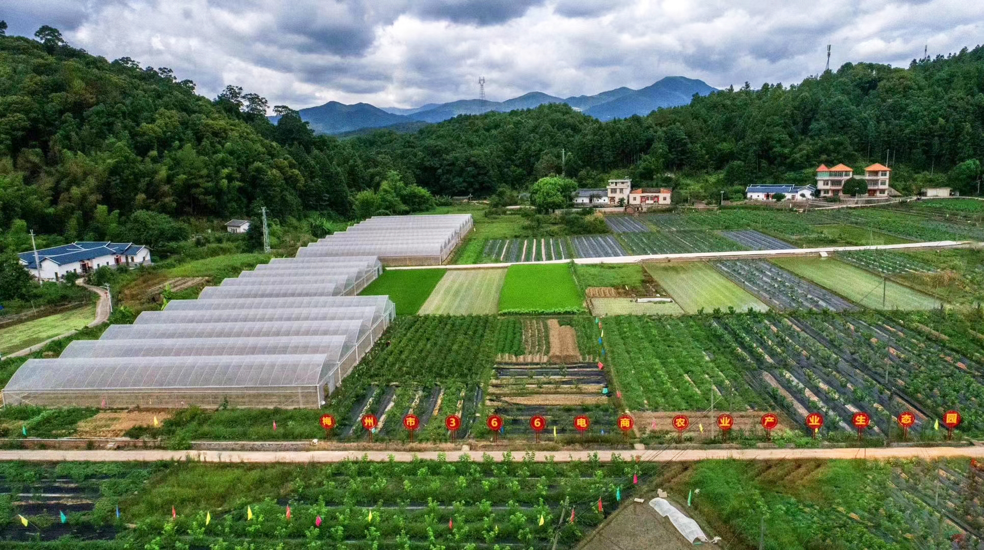 荣格林业基地_荣格林业基地_荣格林业基地