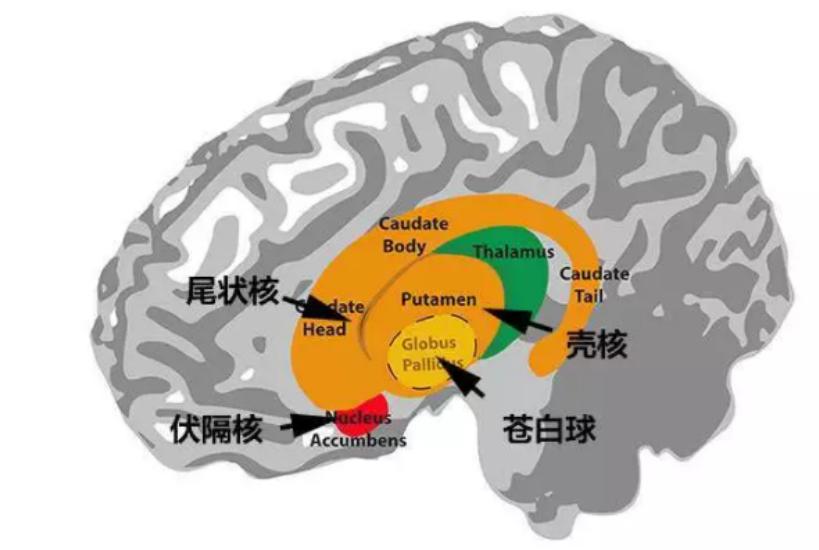 微商的引流方法引流推广_微商引流啥意思_微商引流方法